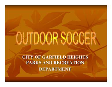 CITY OF GARFIELD HEIGHTS PARKS AND RECREATION DEPARTMENT Requirements 