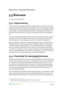 Baggrundsnotat • VedvarendeEnergi’s Energivision  5.5 Biomasse, Gunnar Boye OlesenOpsummering