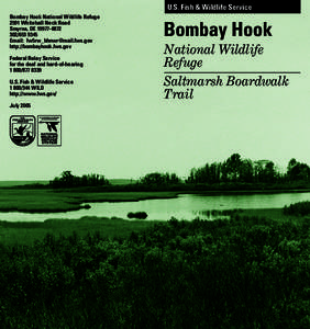 Geography of the United States / Bombay Hook National Wildlife Refuge / Salt marsh / Spartina patens / Dyke Marsh / Quivira National Wildlife Refuge / Physical geography / Coastal geography / Flora