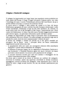 1  Origine e Storia del castagno Il castagno ha rappresentato per lungo tempo una importante risorsa produttiva per molti popoli dell’Europa. Il luogo d’origine del genere Castanea sativa, così come l’etimologia d