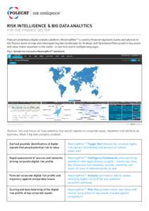 risk-intelligence-finance-sector