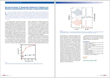 4 Chemical and Environmental Science  PF Activity Report 2008 #26 Structural Study of Supported Ruthenium Catalysts for Biomass Transformation to Fuel Gas in Supercritical Water