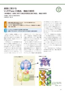 創薬に繋がる V-ATPase の構造、機能の解明 生命 B4