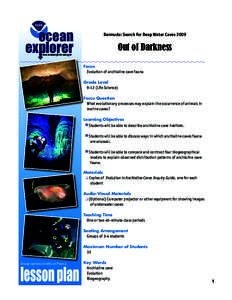 ocean  Bermuda: Search for Deep Water Caves 2009 Out of Darkness