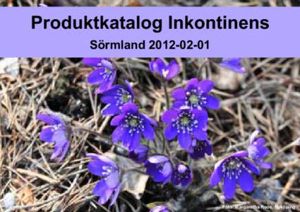 Produktkatalog Inkontinens SörmlandFoto: Margaretha Roos, Nyköping  Innehållsförteckning