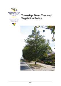 Township Street Tree and Vegetation Policy Page 1  Township Street Tree and Vegetation Policy