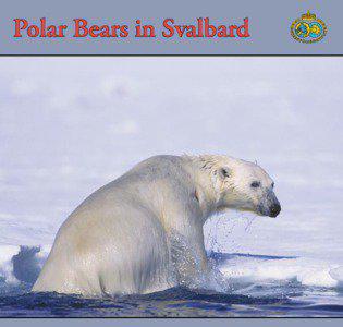 Polar Bears in Svalbard  Contents