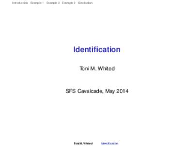 Introduction Example 1 Example 2 Example 3 Conclusion  Identification Toni M. Whited  SFS Cavalcade, May 2014