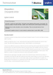 Aphids / Agriculture / Neuroptera / Hemiptera / Chrysoperla carnea / Chrysoperla / Biological pest control / Aphis gossypii / Aphelinus abdominalis / Phyla / Protostome / Agricultural pest insects