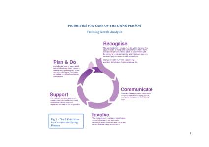 PRIORITIES FOR CARE OF THE DYING PERSON Training Needs Analysis Fig.1 – The 5 Priorities for Care for the Dying Person