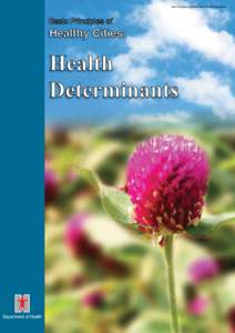 Basic Principles of Healthy Cities: Health Determinants