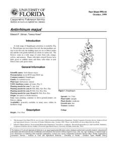 Fact Sheet FPS-44  October, 1999 Antirrhinum majus1 Edward F. Gilman, Teresa Howe2