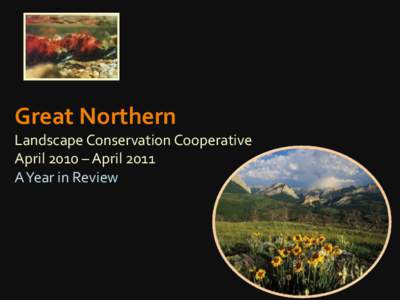 Great Northern Landscape Conservation Cooperative April 2010 – April 2011 A Year in Review  “The conservation community face unprecedented issues of scale, pace,