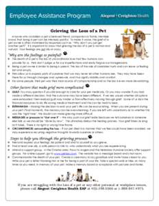 Grieving the Loss of a Pet Anyone who considers a pet a beloved friend, companion or family member knows that losing a pet can be intensely painful. To make it worse, the grief of a pet owner is often minimized by respon