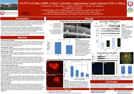 8-CPT-2-O-Me-cAMP, a Rap1 activator, suppresses Laser-induced CNV in Mice[removed]E. Nishimura1,2, M. McCloskey1, Y. Jiang1, G.W. Smith1, H. Wang1, E.S. Wittchen3, R. Koide2, M.E. Hartnett1