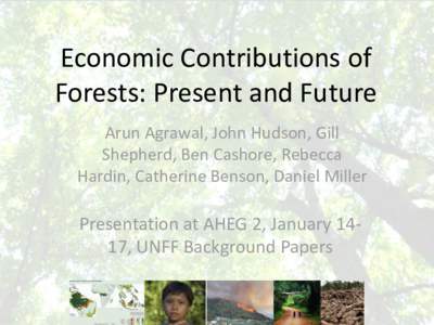 Economic Contributions of Forests: Present and Future Arun Agrawal, John Hudson, Gill Shepherd, Ben Cashore, Rebecca Hardin, Catherine Benson, Daniel Miller
