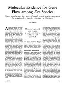 Molecular Evidence for Gene Flow among Zea Species