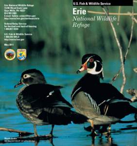 Erie National Wildlife Refuge[removed]Wood Duck Lane Guys Mills, PA[removed]3585 E-mail: [removed] http://www.fws.gov/northeast/erie