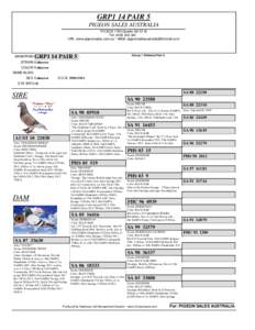 GRP1 14 PAIR 5 PIGEON SALES AUSTRALIA PO BOX 1760 Gawler SA 5118 Tel: URL: www.pigeonsales.com.au * eMail: 
