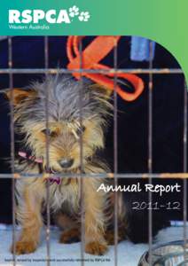 Annual Report 2011–12 Sophie, seized by Inspectors and successfully rehomed by RSPCA WA  President’s Foreword