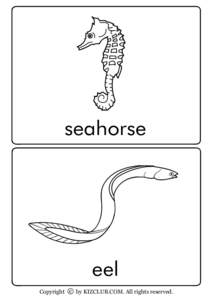 seahorse  eel Copyright c by KIZCLUB.COM. All rights reserved.  sailfish
