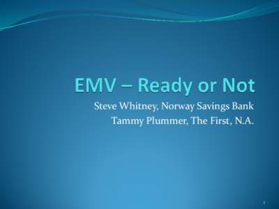 Steve Whitney, Norway Savings Bank Tammy Plummer, The First, N.A. 1  Agenda