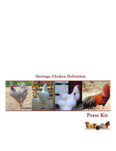 Chicken breeds / Chicken / American Livestock Breeds Conservancy / Heritage turkey / New Hampshire / Buckeye / Broiler / Rare breed / Poultry farming / Livestock / Poultry / Agriculture