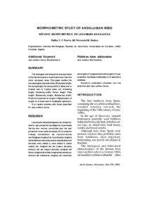 IBERIAN BEE MORPHOLOGY  MORPHOMETRIC STUDY OF ANDALUSIAN BEES