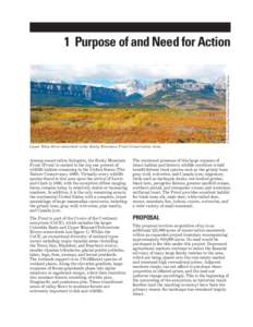 CHAPTER 1: Purpose of and Need for Action (Rocky Mountain Front Conservation Area Expansion: Environmental Assessment)