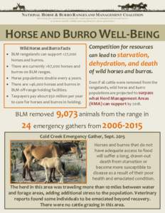 NATIONAL HORSE & BURRO RANGELAND MANAGEMENT COALITION Advocating for commonsense, ecologically-sound approaches to managing horses and burros to promote healthy wildlife and rangelands for future generations HORSE AND BU