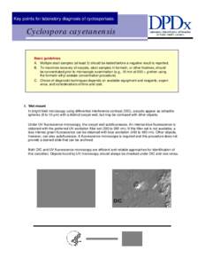 Apicomplexa / Cyclospora cayetanensis / Cyclosporiasis / Acid-fast / Microscopy / Cyclospora / Trichrome / Counterstain / Ziehl–Neelsen stain / Microbiology / Staining / Biology