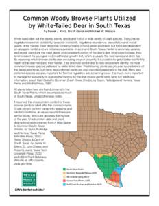 Common Woody Browse Plants Utilized by White-Tailed Deer in South Texas by Daniel J. Kunz, Eric P. Garza and Michael W. Wallace