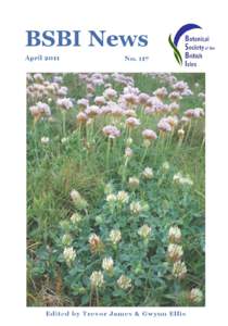 Caryophyllaceae / Forages / Botany / Scleranthus annuus / Agriculture / Biology / Botanical Society of Britain and Ireland / Scleranthus / Clover / Trifolium incarnatum