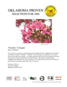 OKLAHOMA PROVEN SELECTIONS FOR 2006 Photo by Lou Anella  ‘Prairifire’ Crabapple