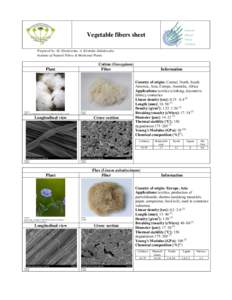 Vegetable fibers sheet Prepared by:  M.  Zimniewska,  A.  Kicińska-Jakubowska Institute of Natural Fibres & Medicinal Plants Cotton (Gossypium) Fiber