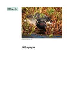 Parulidae / New England / New Hampshire / Black-throated Green Warbler / Environment / Umbagog National Wildlife Refuge / Canada Warbler / Umbagog Lake / Conservation biology / Dendroica / Biology / Geography of the United States