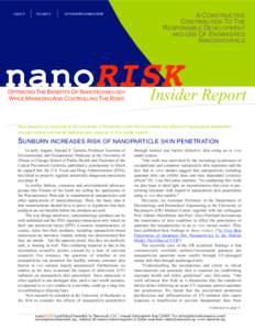 NanoRisk October/November 2008