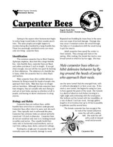 Spring is the season when homeowners begin to notice large round holes in their wooden porch trim. The same people just might happen to mention being dive-bombed by a large bumble bee. These two seemingly unrelated event