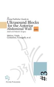 the  Flying Publisher Guide to Ultrasound Blocks for the Anterior