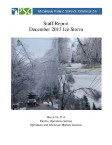 Microsoft Word - Final Ice Storm Report.doc