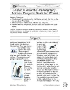 ANTARCTIC  Lesson 3: Antarctic OceanographyAnimals: Penguins, Seals and Whales Lesson Objectives: • Students will be introduced to the Marine animals that live on the ice sheets of Antarctica.