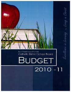 Microsoft Word - 1011budget document_revised_20101026.doc