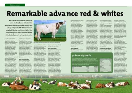 Leading article  Remarkable adva nce red & whites Red & white dairy cattle are working on  happened. Farmers preferred
