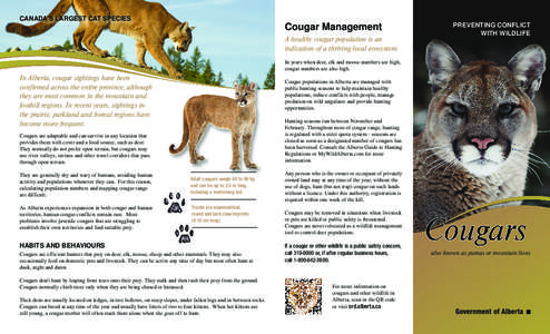 CANADA’S LARGEST CAT SPECIES  Cougar Management A healthy cougar population is an indication of a thriving local ecosystem.