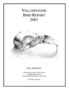 YELLOWSTONE BIRD REPORT 2001 Terry McEneaney Yellowstone Center for Resources