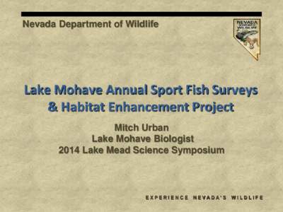 Nevada Department of Wildlife  Lake Mohave Annual Sport Fish Surveys & Habitat Enhancement Project Mitch Urban Lake Mohave Biologist