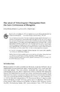 The skull of Velociraptor (Theropoda)from the Late Cretaceous of Mongolia RINCHEN BARSBOLD and HALSZKA OSMOLSKA