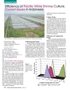 Efficiency of Pacific White Shrimp Culture, Current Issues in Indonesia