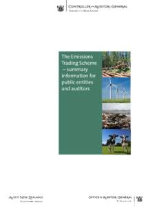 The Emissions Trading Scheme- summary information for public entities and auditors