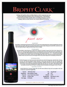 Pinot noir / Chardonnay / Food and drink / Winemaking / Benovia Winery / New Zealand wine / Wine / California wineries / Sonoma County wineries